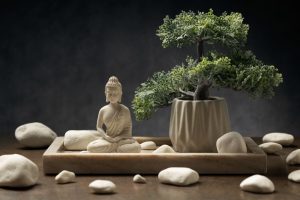 Bonsai