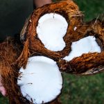 Tips Membuka Kelapa dengan Mudah dan Aman di Rumah