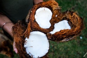 Tips membuka kelapa
