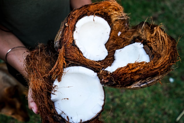 Tips membuka kelapa