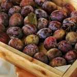 Khasiat Buah Plum yang Fresh serta Baik buat Kesehatan Tubuh
