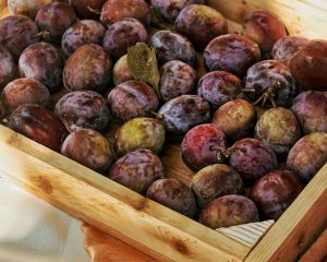 Buah plum