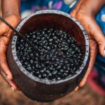 Acai Berry Buah Unik yang Terus menjadi Terkenal di Dunia Kesehatan