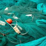 Jaring Ikan Jadi Perlengkapan Berarti buat Hasil Tangkapan yang Maksimal